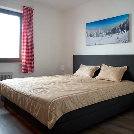 Apartment Alpina