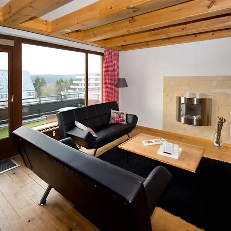 Apartment Alpina Winterberg